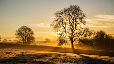 Adobestock 75954698